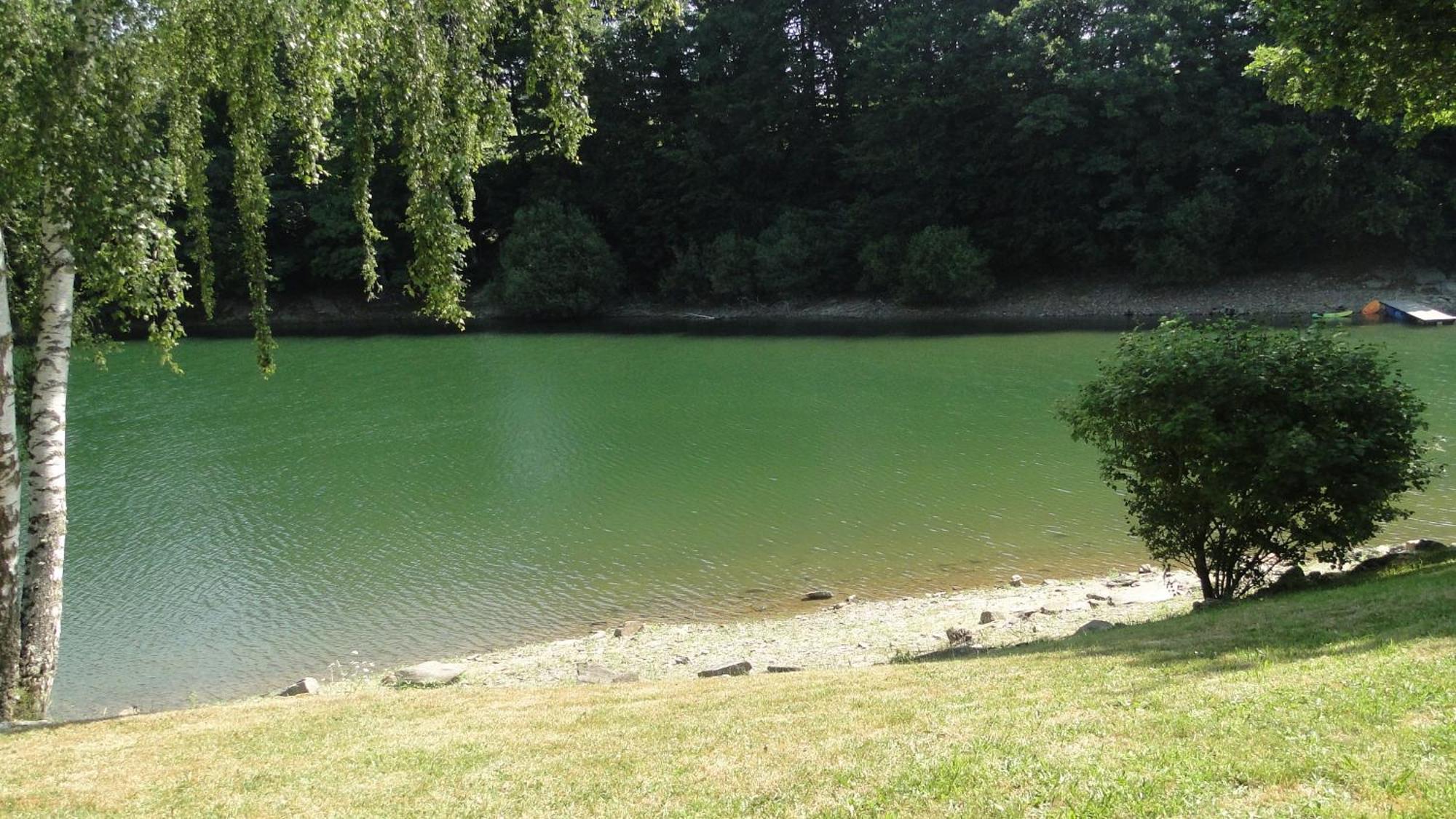 Maison Lac De Pareloup -Les Pieds Dans L'Eau- Arvieu Εξωτερικό φωτογραφία